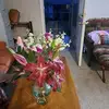 Ana Chevez - @ana.chevez904 - TikTok