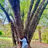anachevez501 - @anachevez501 - TikTok
