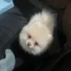 Ana Cid - @ana.cid30 - TikTok