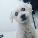 @anacorvera_ - Instagram