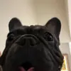Ana Cubas - @ana.cubas - TikTok