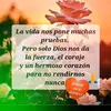 ana cuz - @ana.cuz78 - TikTok