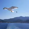Ana Filip - @anafilip38 - TikTok