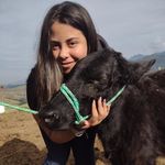 Ana Clara Fleming - @aninha.fleming - Instagram