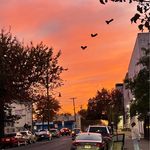 Ana Gambetta - @anagambetta1 - Instagram
