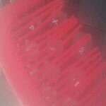 kwidjdj - @anagambetta10 - Instagram