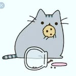 ana cat - @anagatos_ - Instagram