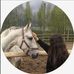 Ana Elisa Gerardo - Facebook