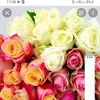 Ana Graca957 - @anagraca957 - TikTok