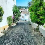 Ana Graca - @graca.ana - Instagram