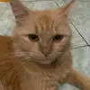 anagraca42 - @anagraca42 - TikTok