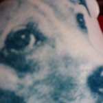 ana_harrison - @ana_harrison - Instagram