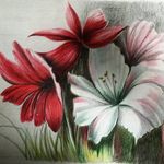 Ana Jauregui - @ana_j_diseno - Instagram