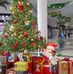 Ana Jeronimo - Facebook