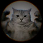 nopalwan - @anakwan00 - Instagram