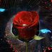 Ana Laurel - Facebook