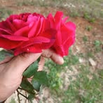 Ana Lepez - Facebook