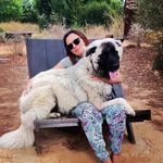 Ana Ligeiro - @kattyligeiro - Instagram