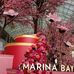 Ana Lim - Facebook