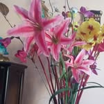 Ana Isabel Marchena - @anaisabelmarchena - Instagram