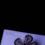 Ana McDowell - Facebook