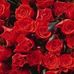 Ana Mouta - Facebook