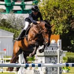 Ana Moutinho - @anamoutinho_horses - Instagram