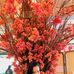 Ana Moutinho - Manychat - Facebook