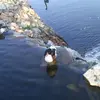 Ana Muresan837 - @anamuresan837 - TikTok