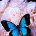 Ana Brenda Murga - Facebook