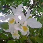 Ana Murga - @murga.ana_mercedes_ - Instagram