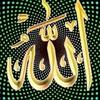 Ana.Myers - @user42609966914816 - TikTok