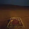 an an ape - @an.an.ape - TikTok