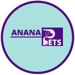 Juguetes olfativos - @ananapets - Instagram