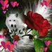 Ana Napoles - Facebook