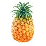Ananas - @ananas_hotel - Instagram