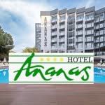 Ananas Hotel - @ananas.hotel - Instagram