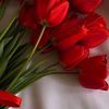 ananastic_ananasic - @user1048888028428 - TikTok