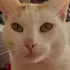 Ana Natalia - @ana_natalia1975 - TikTok