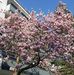 Ana Nater - Facebook