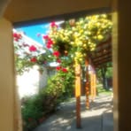 Ana Neamtu - Facebook