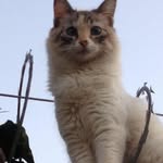 Ana Neder - @anamarianeder - Instagram