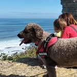 Ana Díaz Negrillo - @anadnegrillo - Instagram