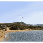 Ana Martínez Rodríguez - @ananegrillo92 - Instagram