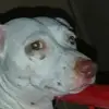 Ana Negron - @ana.negron579 - TikTok