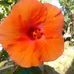 Ana Marie Nerio - Facebook