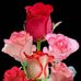 Ana Nerio - Facebook