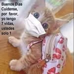 Ana Nerio - @ana.nerio.940 - Instagram