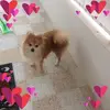 Ana Neto - @ana.neto5 - TikTok