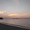Ana Netto - @ana.netto5 - TikTok